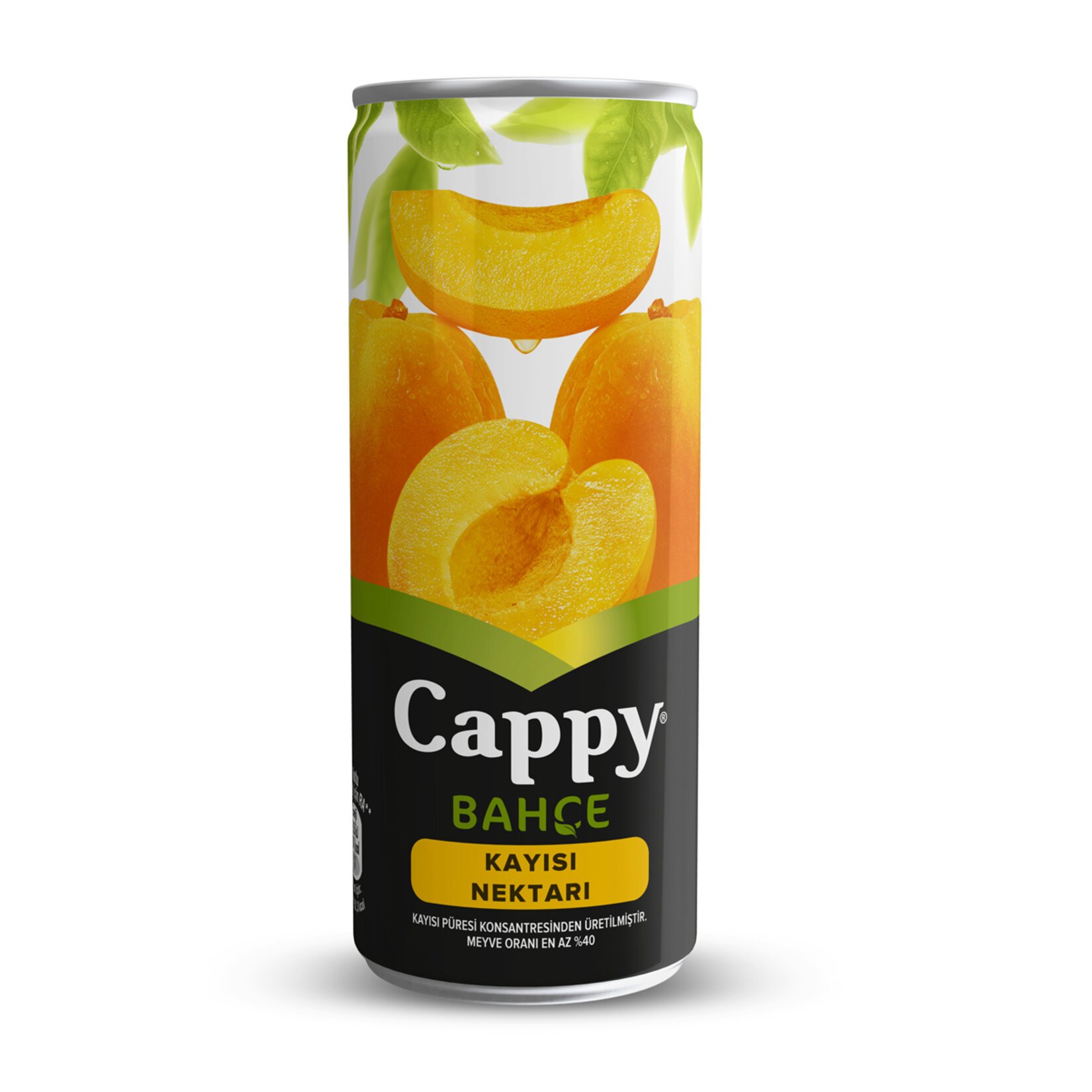  CAPPY KUTU  KAYISI SUYU