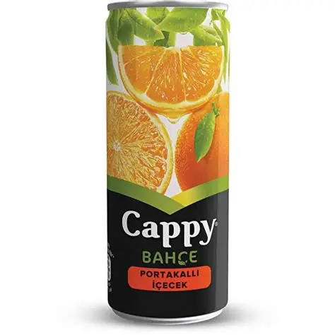 CAPPY KUTU PORTAKAL SUYU