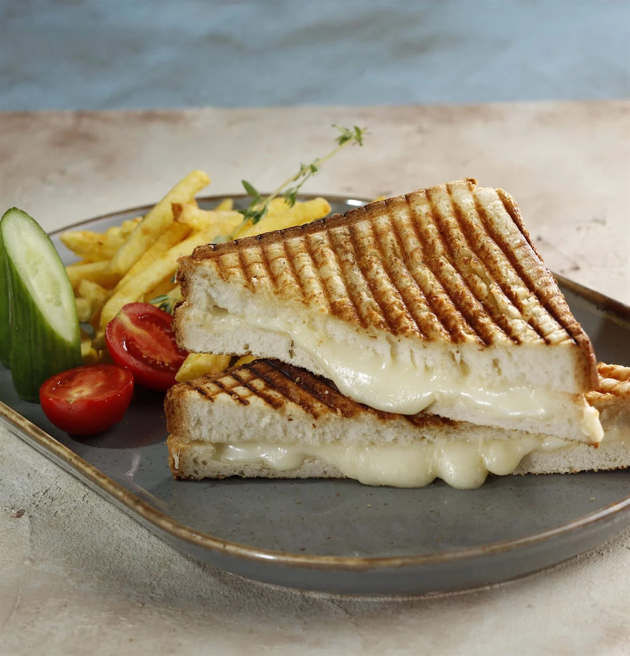 TOST KAŞARLI 